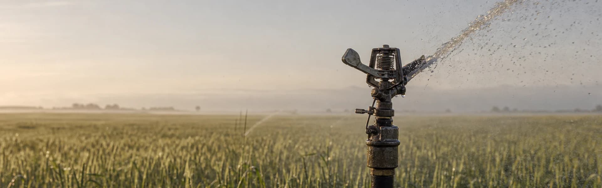 Impact Sprinkler