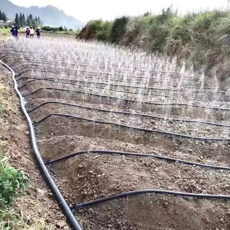 Manguera de lluvia de aspersión personalizable para suministro de agua agrícola y sistemas de riego de fincas y de cinta de goteo
