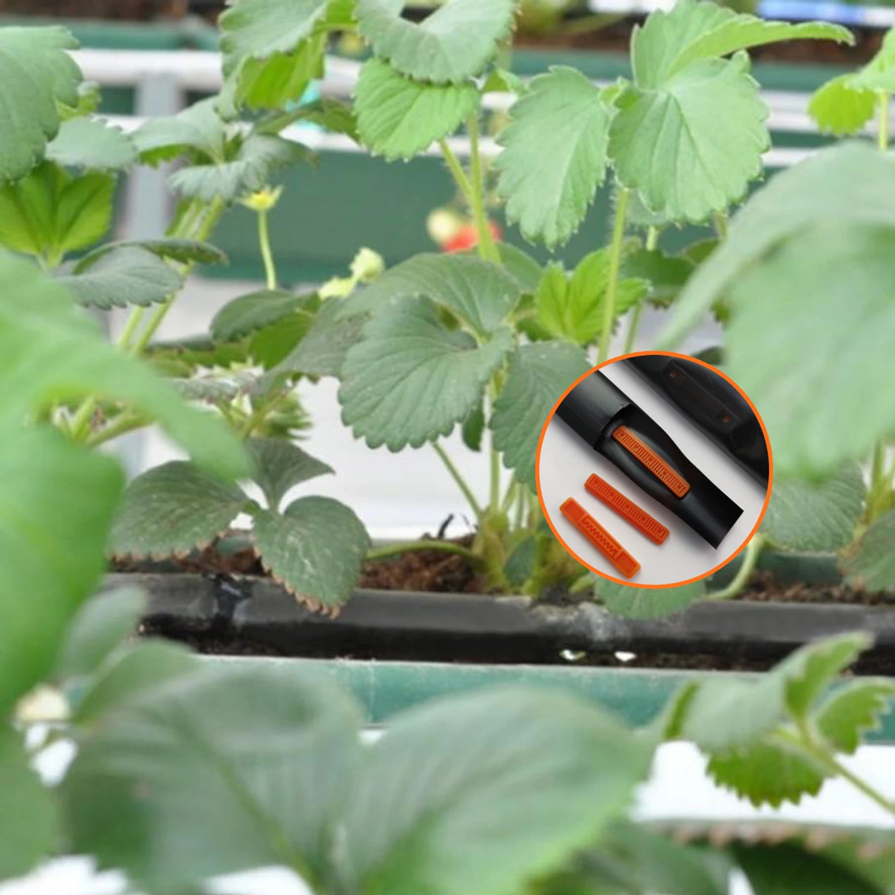 Ruban goutte-à-goutte 20mm 16mm pour arrosage et système d’irrigation des terres agricoles