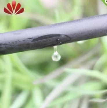 中国农场滴灌系统及滴灌带灌溉制造商