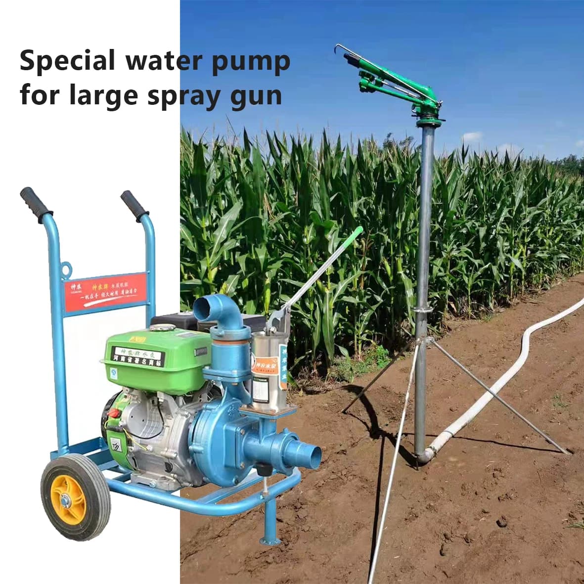 Wasserpumpe für Garten- und landwirtschaftliche Bewässerungssysteme