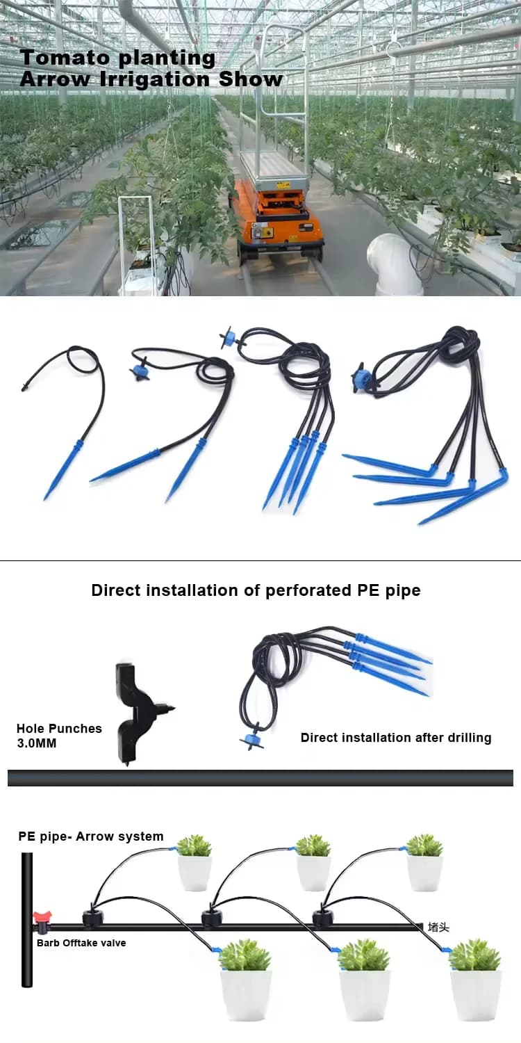Gocciolatore a freccia a 4 vie curvo/diritto con gocciolatore da 8L a prezzo di fabbrica per impianto di irrigazione a goccia
