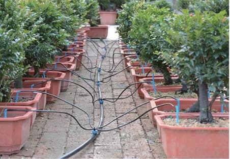 ドリッパー灌漑システム 2L・4L・8L温室散水キット、鉢植え・盆栽植物用アロードリッパーセット