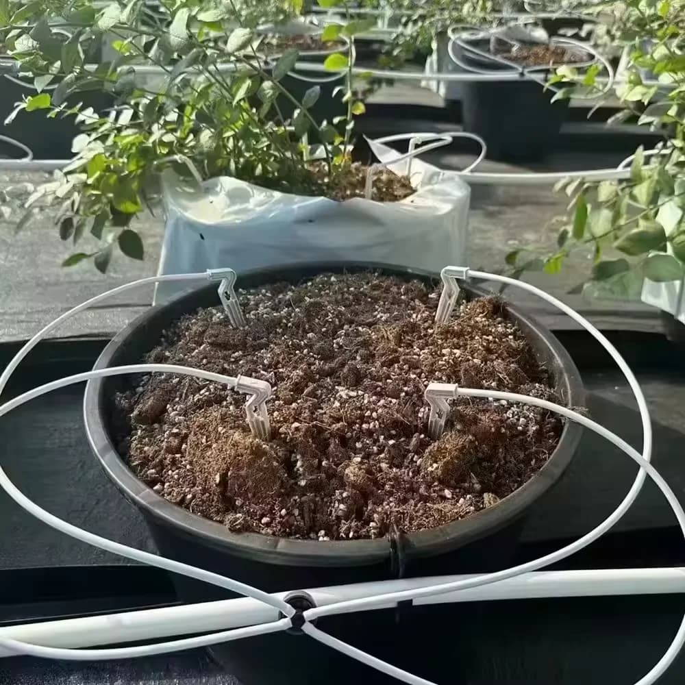 High Quality Four-Branch Straight Arrow Dripper Garden Sprinklers for Water-Saving Irrigation System