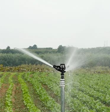 Asperseur agricole à impact et grand canon d’arrosage pour ferme, produit très vendu