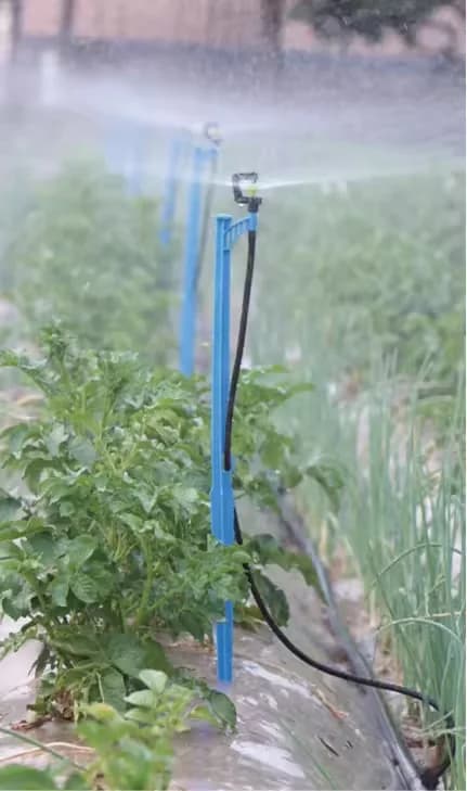 Microaspersor IRRINEX 251T con giro 360, pulverizador agrícola de agua para sistemas de riego de invernaderos y jardines domésticos