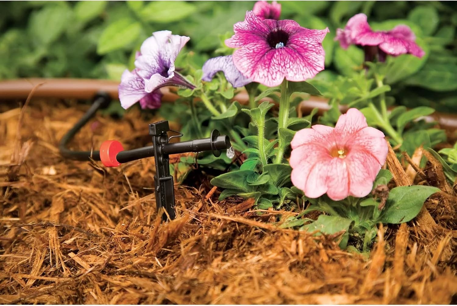 IrriNex Drip Irrigation System Kit component view 9