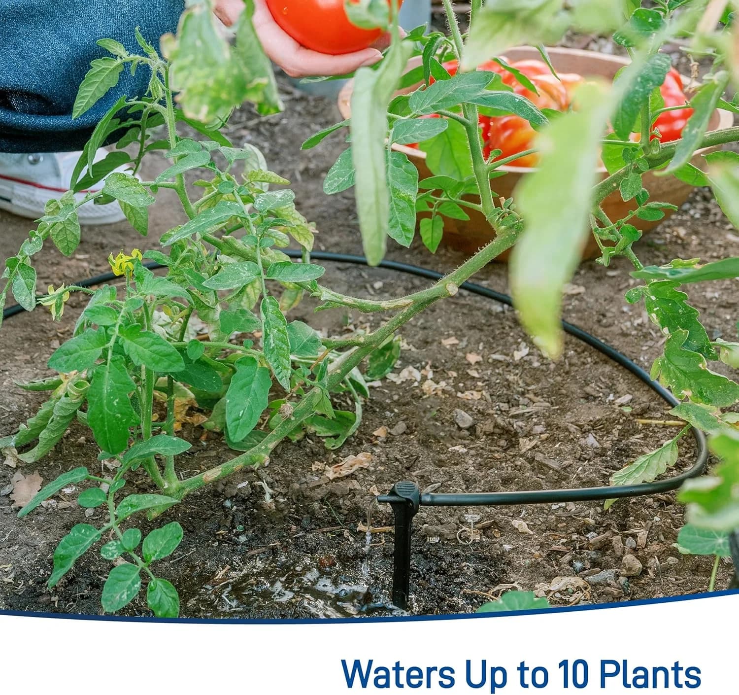 IrriNex Drip Irrigation System Kit component view 4