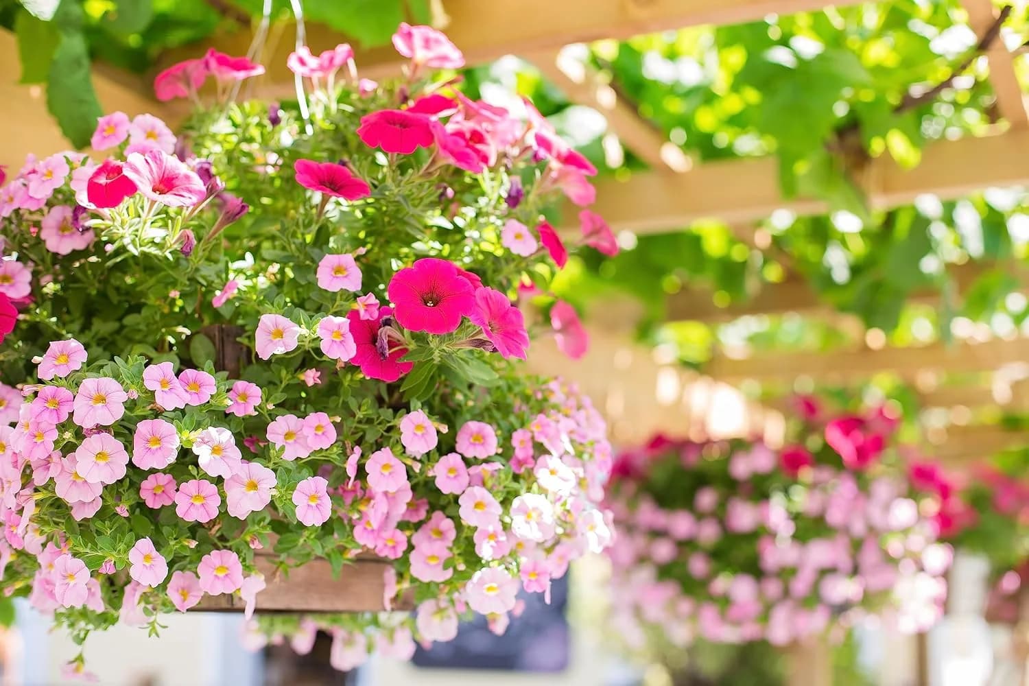 IrriNex Hanging-Basket Drip Irrigation Kit component view 4