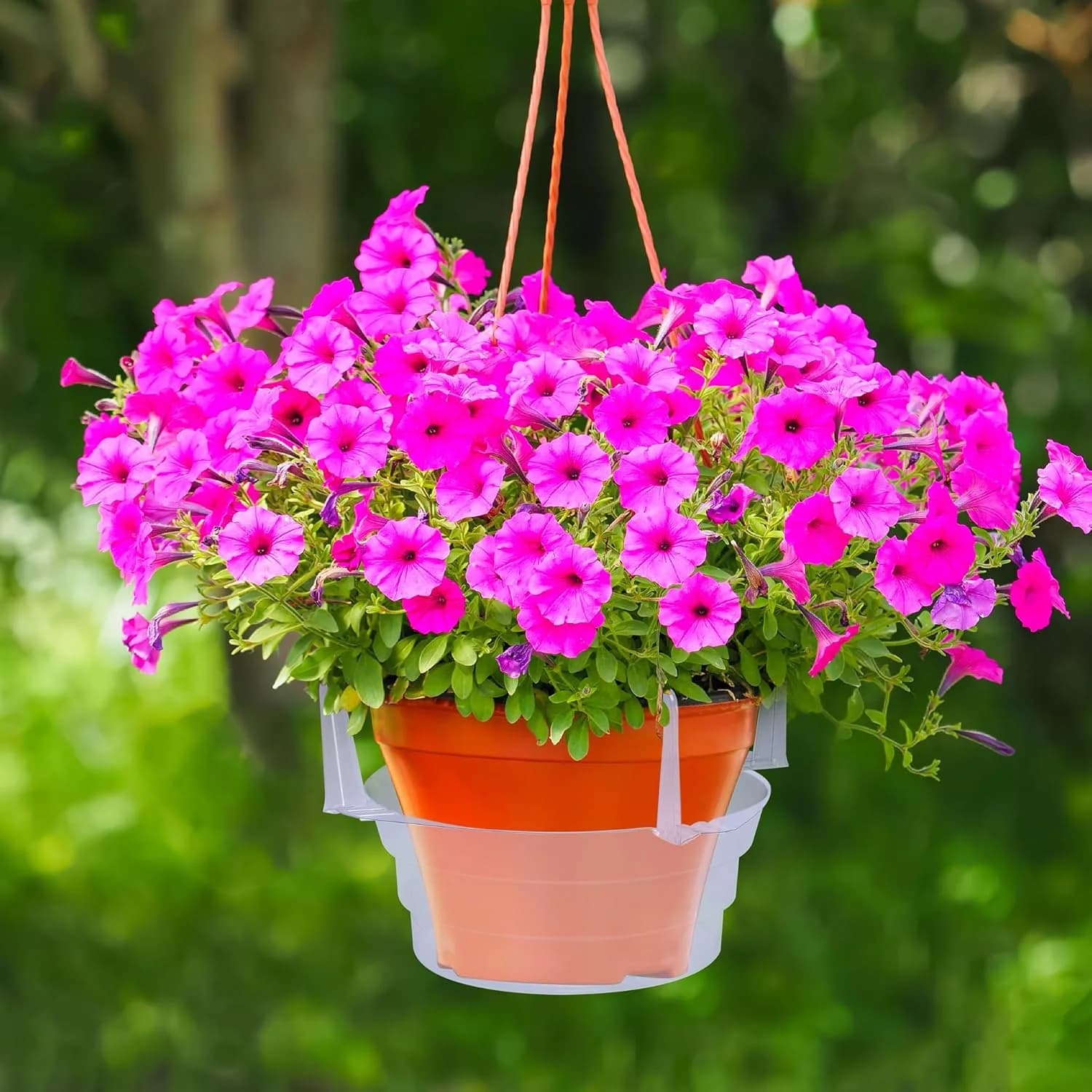 IrriNex 8-inch Hanging Plant Drip Tray Set component view 4