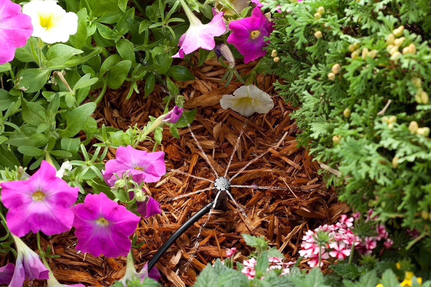 IrriNex 1/4-inch Patio and Planter Drip Irrigation Kit component view 7
