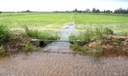 Border-Check Irrigation Design: Bay Length, Flow Rate, and Efficiency