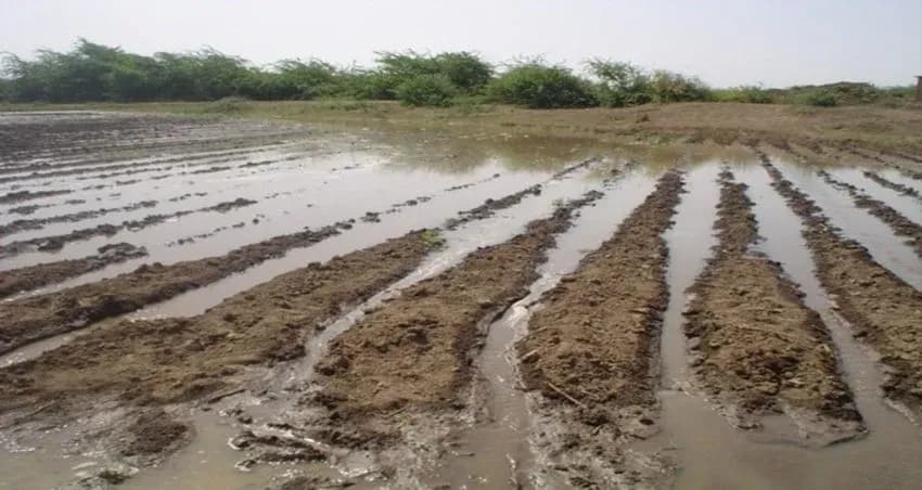 How Saline Water Irrigation Affects Soil Structure (and How to Manage It)