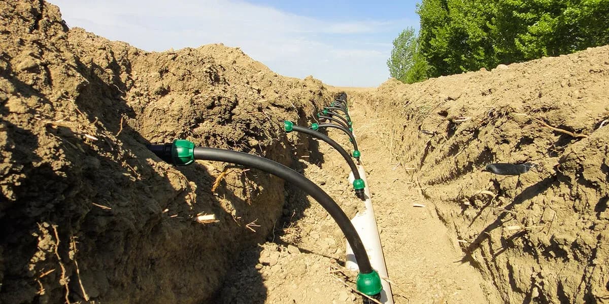 Sub-Surface Drip Irrigation (SDI): A Complete Planning Guide