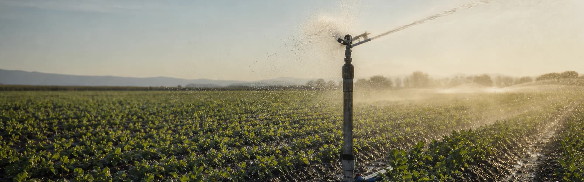 Irrigation Sprinkler