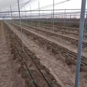 16 MmTape Drip Irrigation Systems Design 16 mm Drip Tape Drip Irrigation Tape