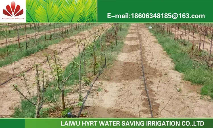 IRRINEX Tropfbewässerung in Israel zu wettbewerbsfähigem Preis mit Planungsservice