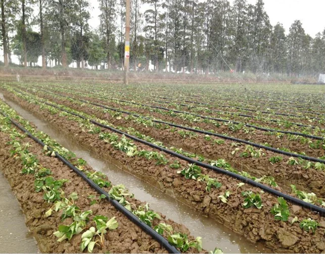 Tubo a spruzzo Rainhose all'ingrosso per impianto di irrigazione